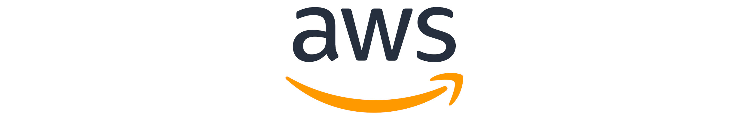 Amazon Web Services 